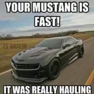 Meet your Posher, Johnny